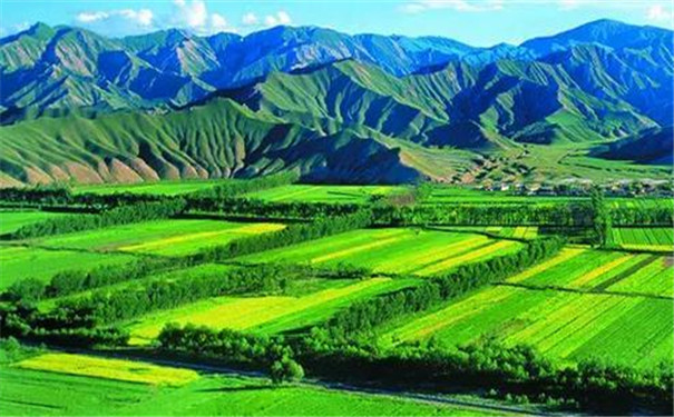 土壤墑情自動監(jiān)測設(shè)備